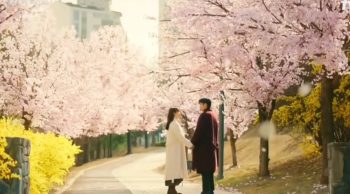 falling-cherry-blossom-petals-scene
